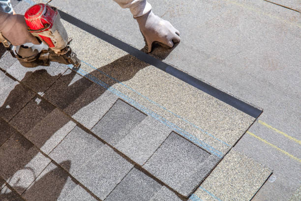 Best Metal Roofing Contractor  in New Lenox, IL